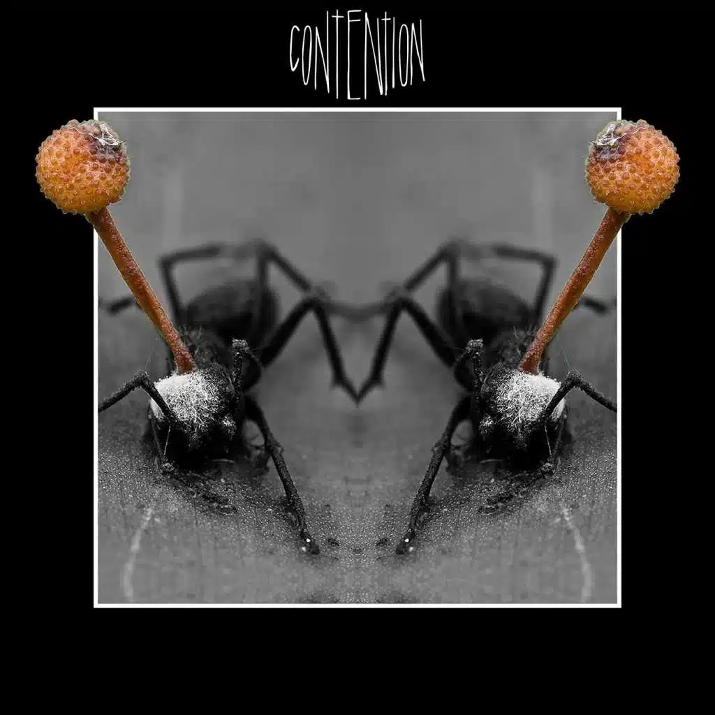 Contention