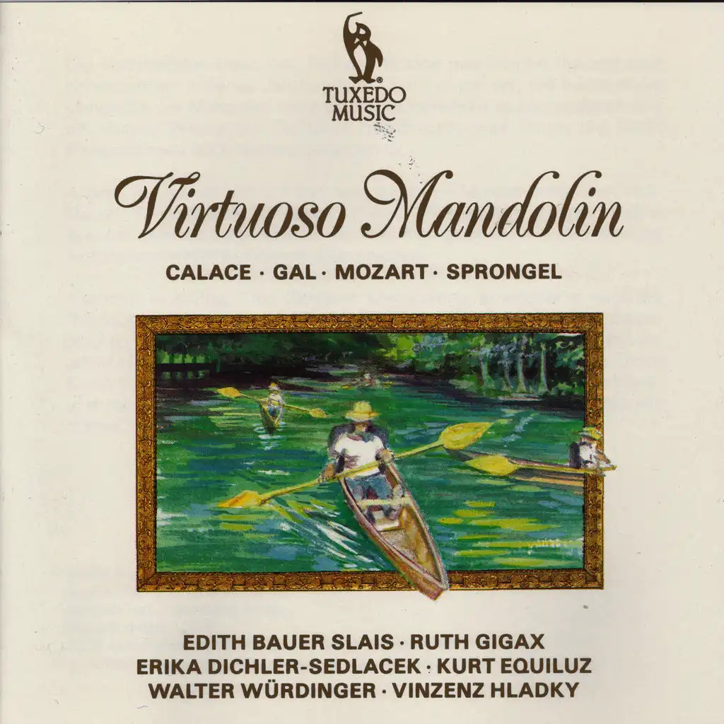 Divertimento for Mandolin & Piano, Op. 80:Rondo. Allegro un poco sostenuto
