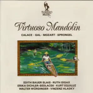 Divertimento for Mandolin & Piano, Op. 80: Burla. Vivace presto