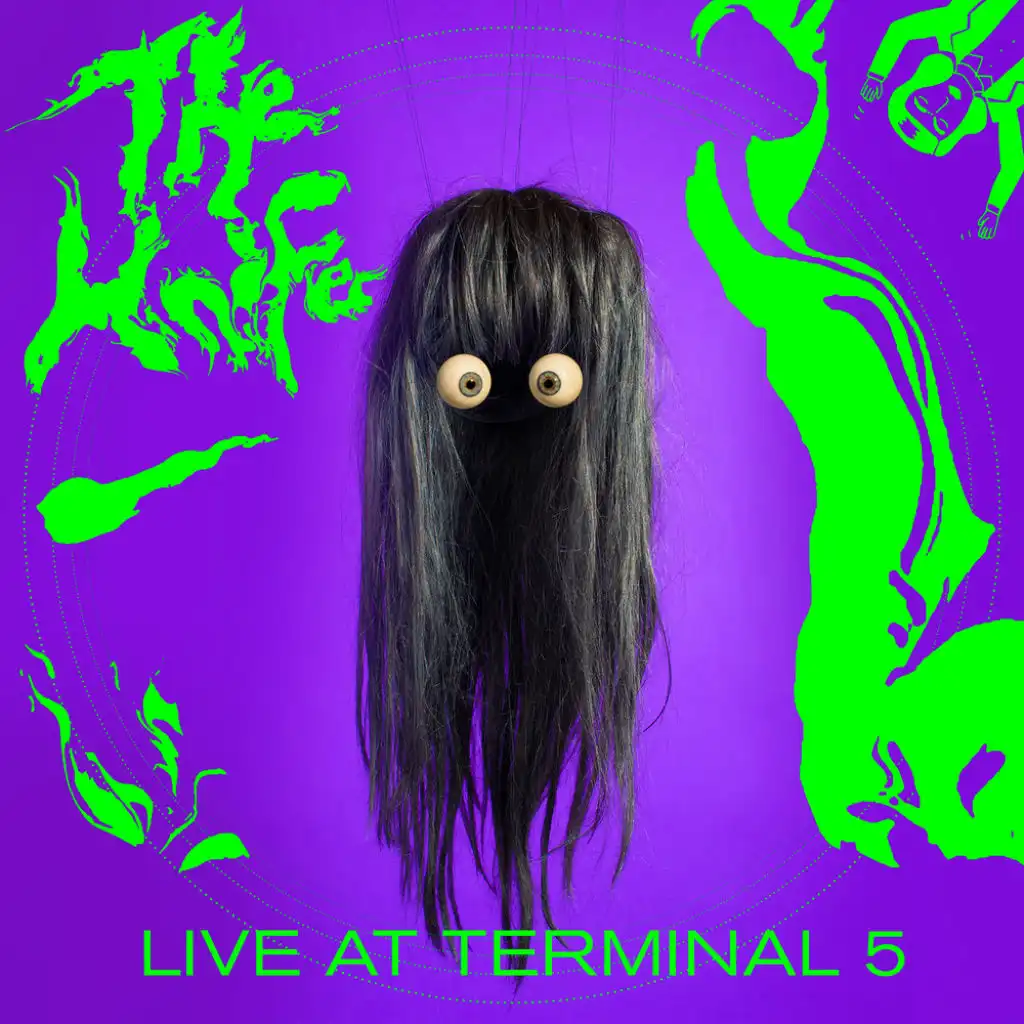 Bird (Shaken-Up Live Version)