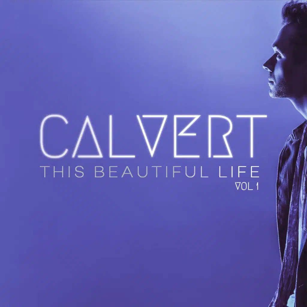 This Beautiful Life, Vol. 1