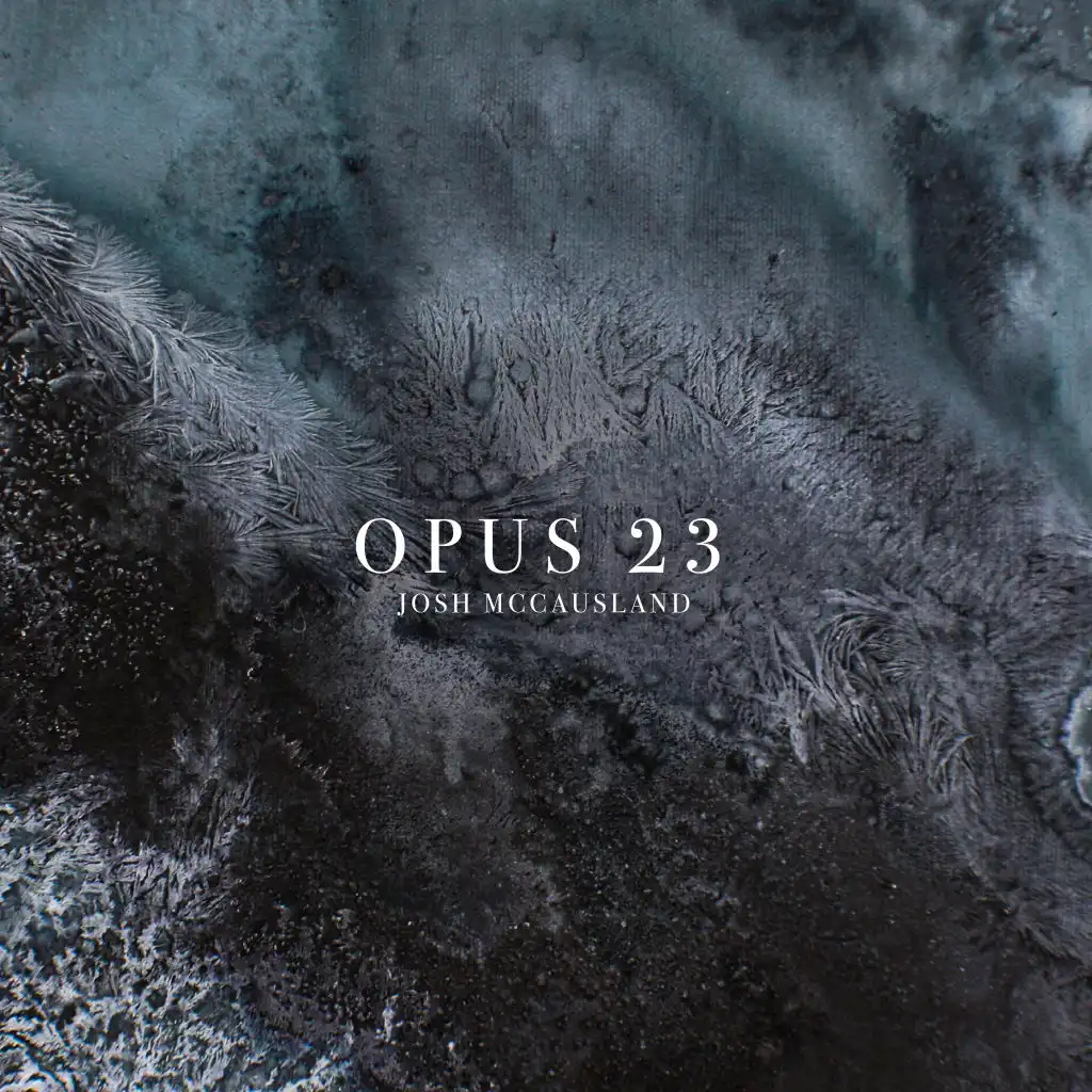 Opus 23