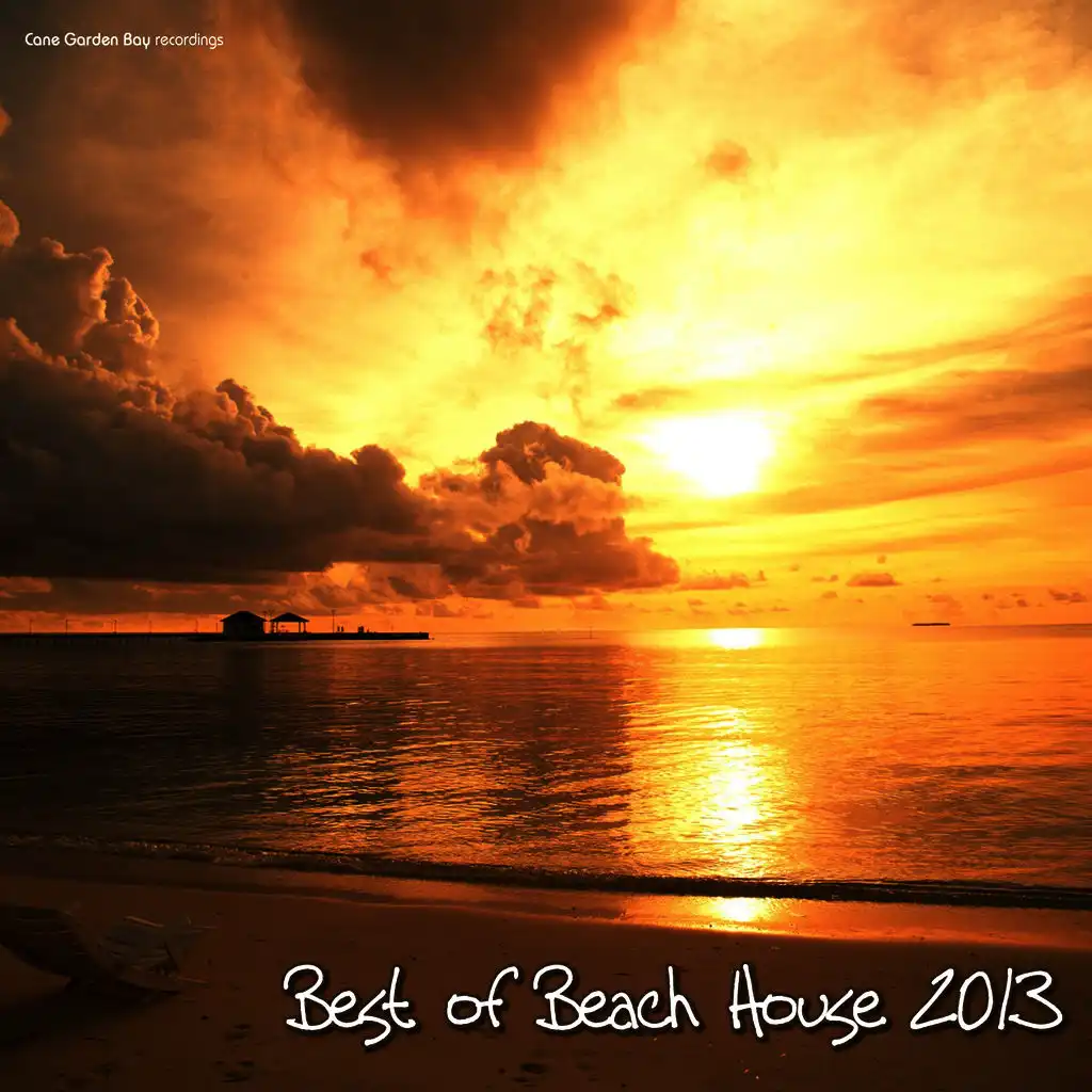 Best of Beach House 2013