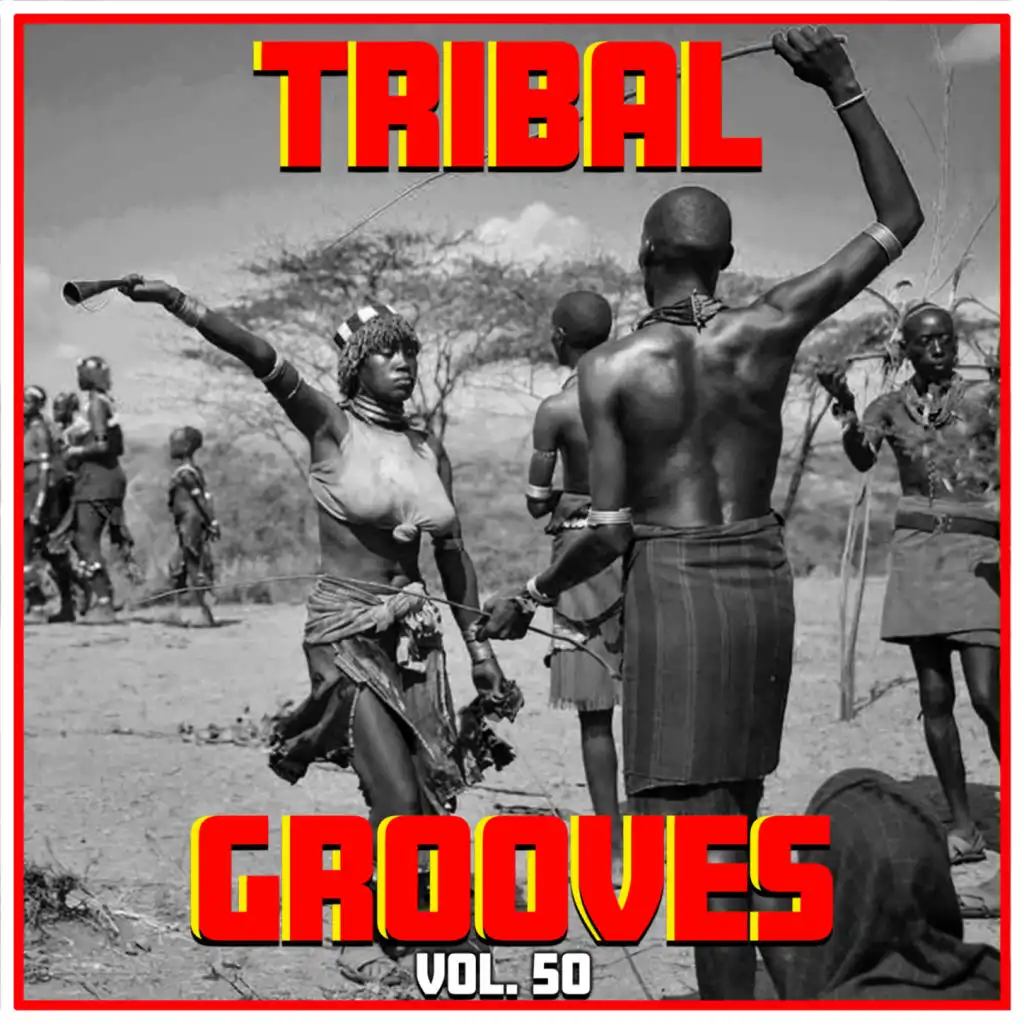 Tribal Grooves, Vol. 50