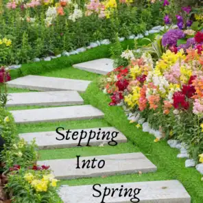 Stepping Into Spring