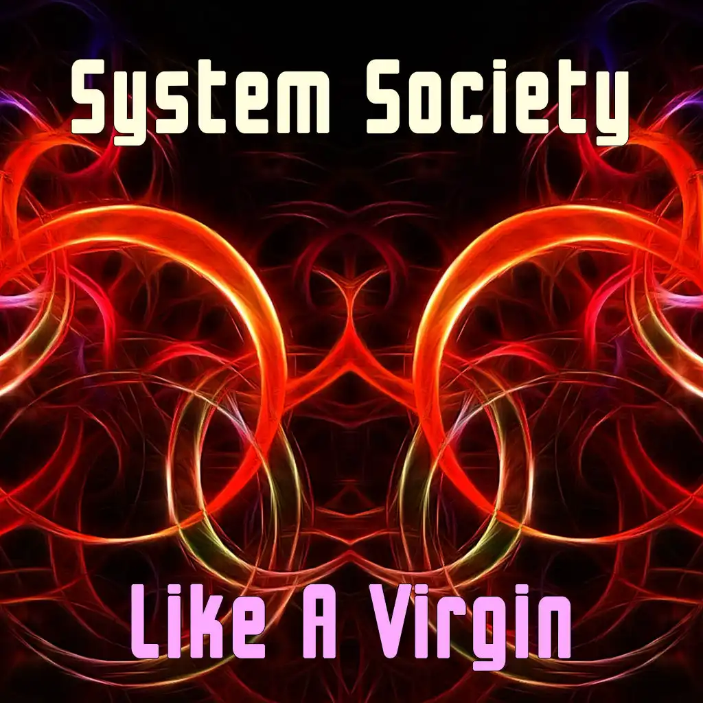 System Society