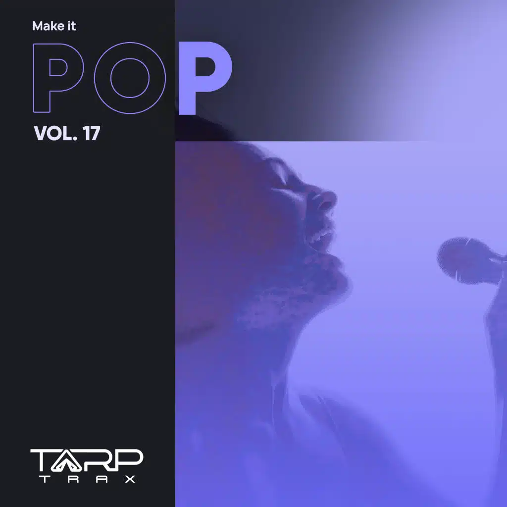 Make It Pop, Vol. 17
