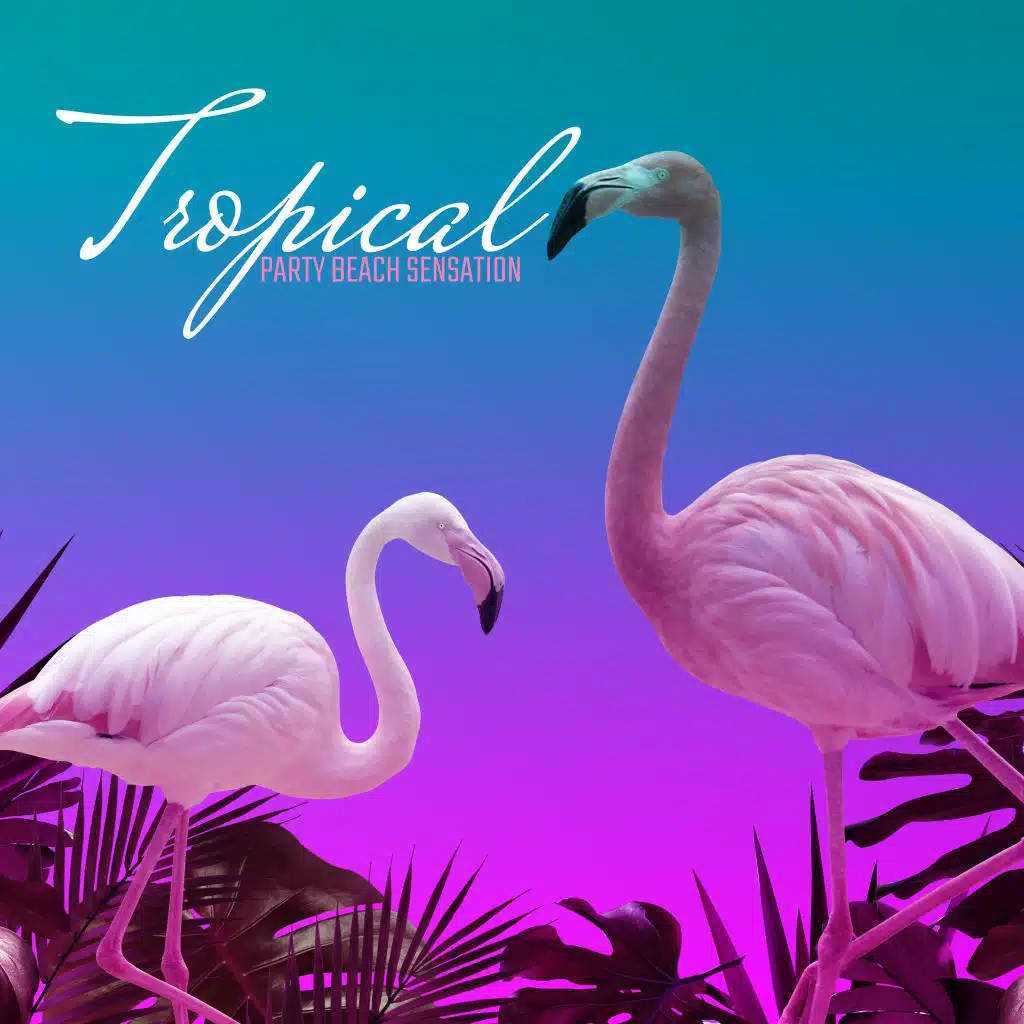 Tropical Party Beach Sensation: EDM Electro Chillout Beach Dance Party Music Set