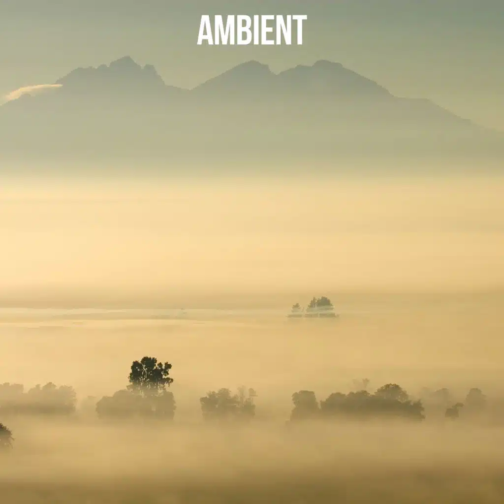 Ambient