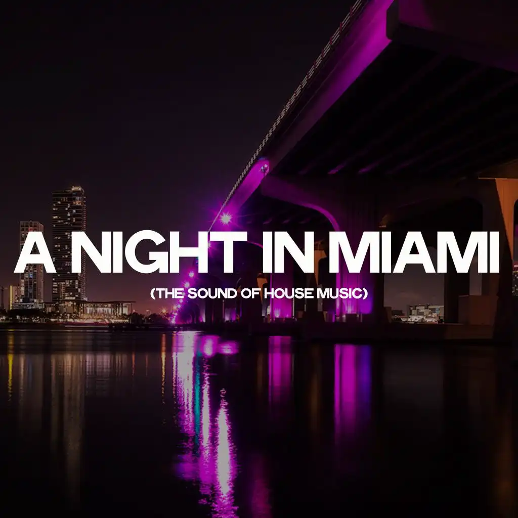 A Night in Miami (The Sound of House Music)