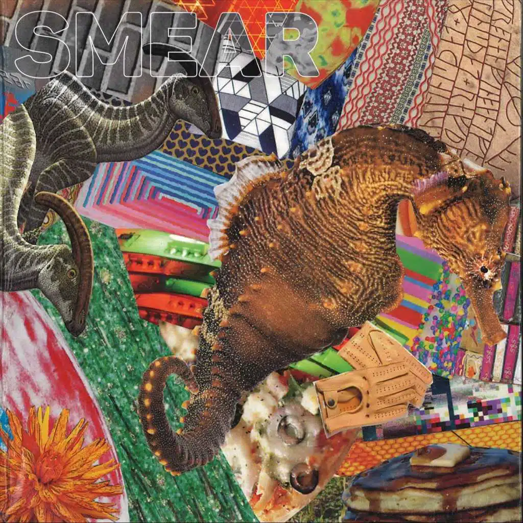 Mellow Border Collies and the Finite Sadness