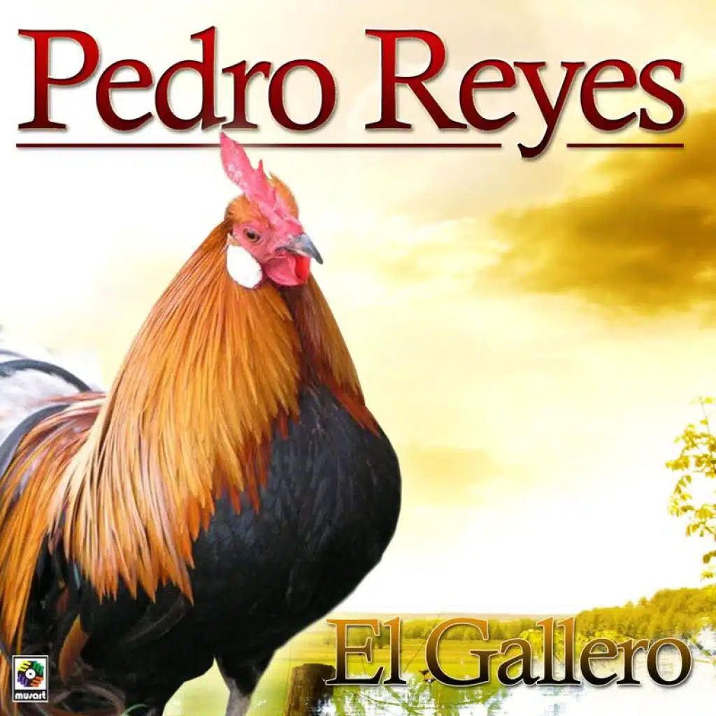 El Gallero