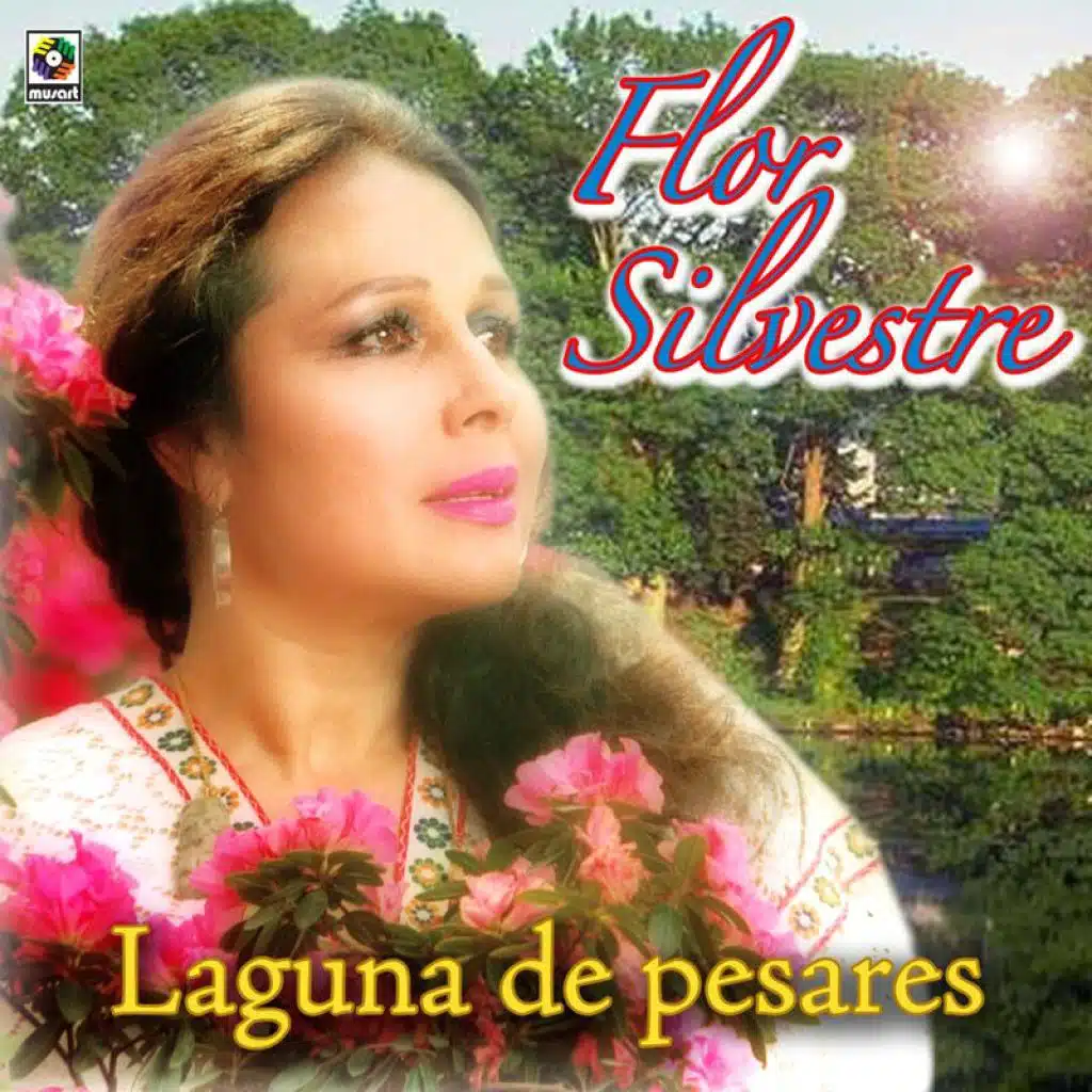 Lágrimas Del Alma