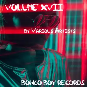 Bongo Boy Records, Vol. XVII
