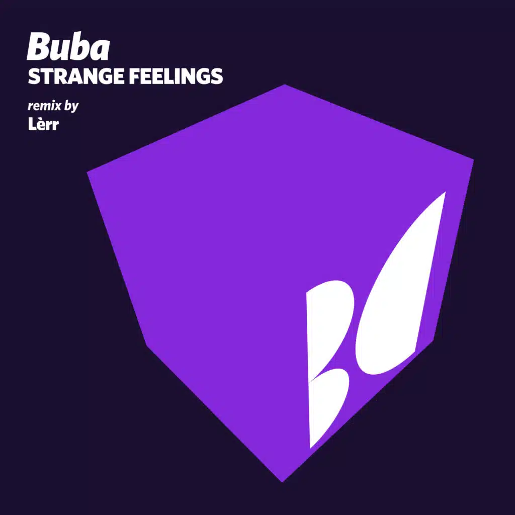 Strange Feelings (feat. Lerr)