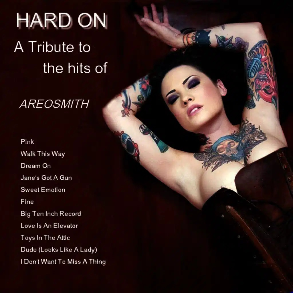 A Tribute To The Hits of Aerosmith