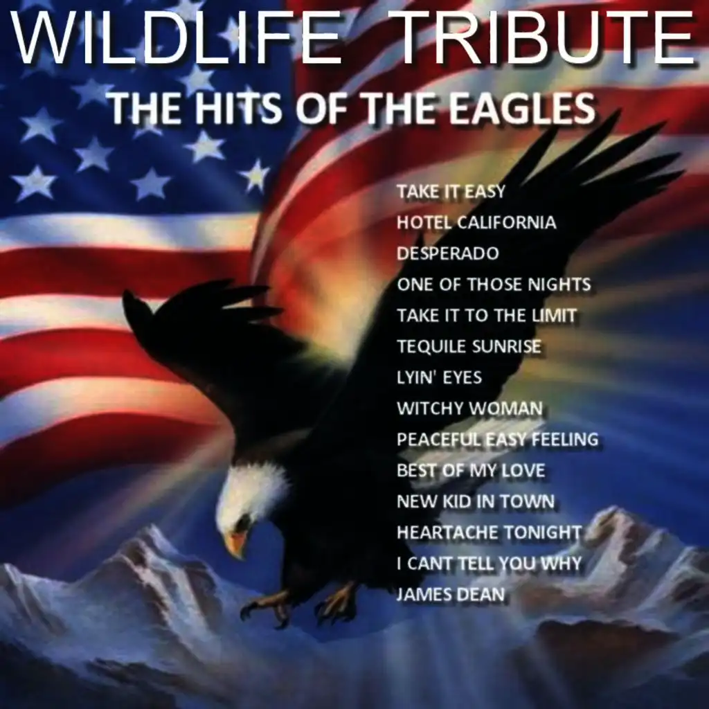 A Tribute To The Hits of The Eagles