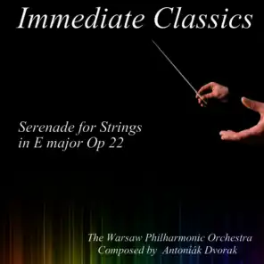 Serenade for Strings in E Major, Op. 22: Serenade for Strings in E major Op 22