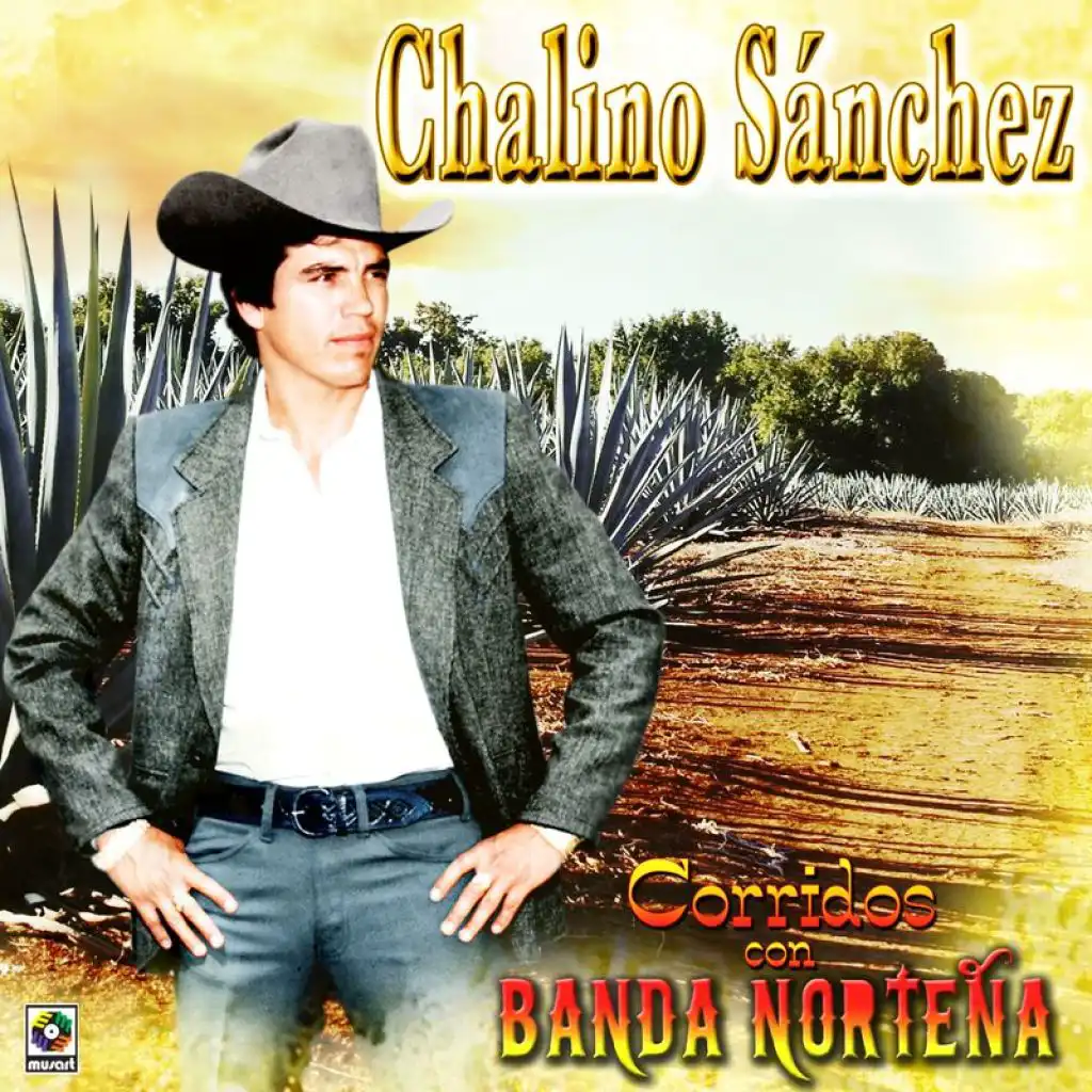 Corridos Con Banda Norteña