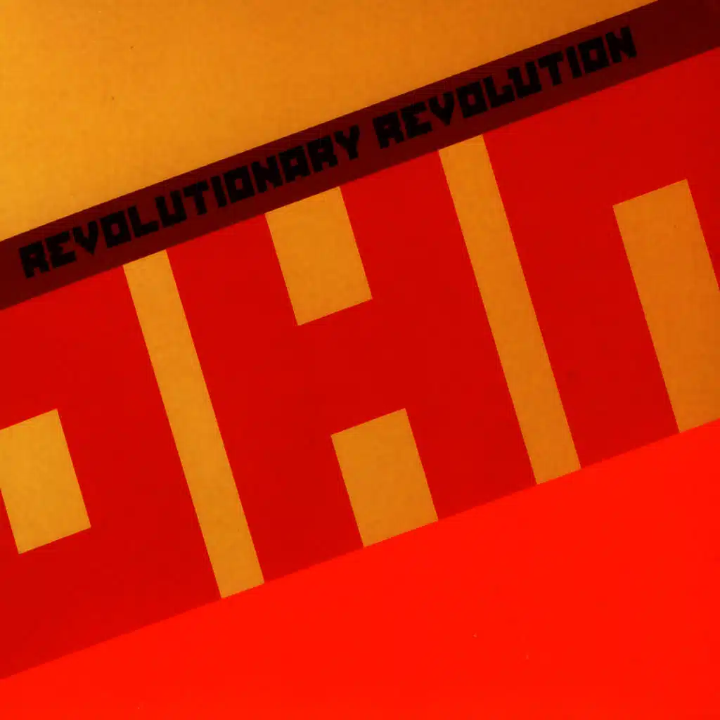Revolutionary Revolution