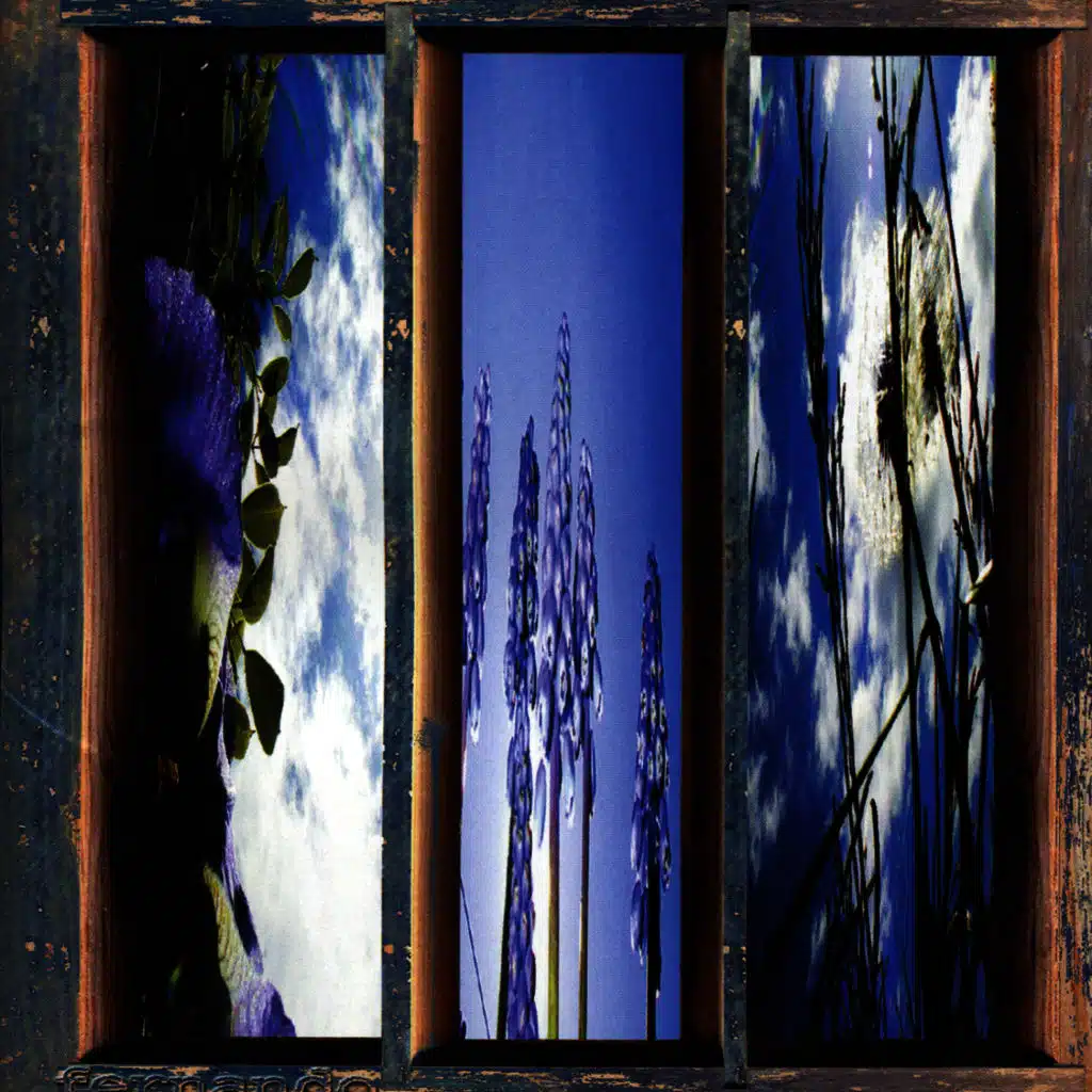 Dreams of the Sun and Sky