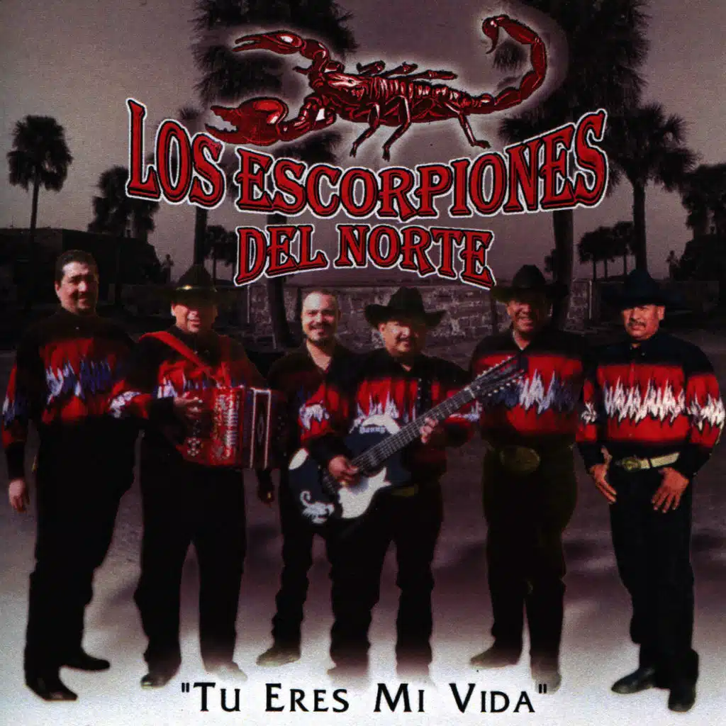 Tu Eres Mi Vida