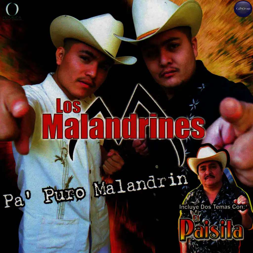 Pa' Puro Malandrin