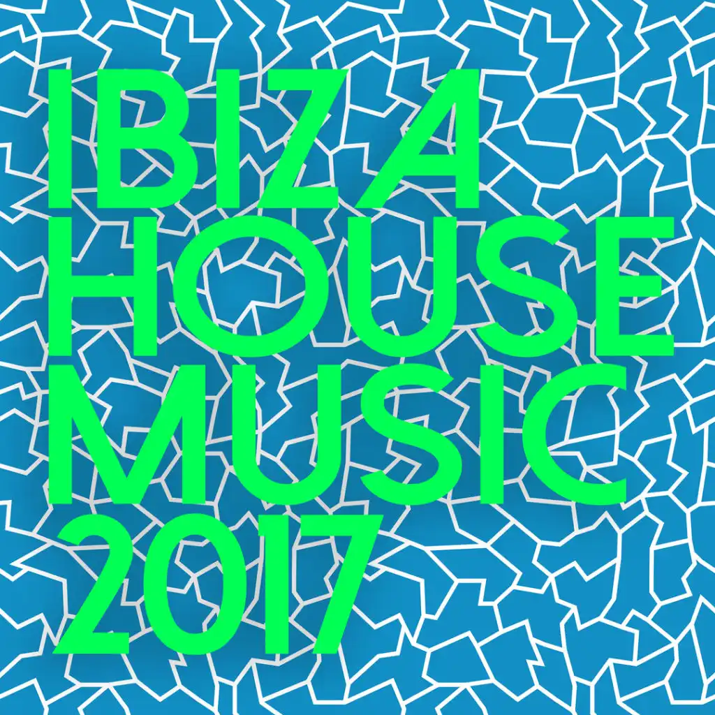 Ibiza House Music 2017 (feat. Traumton)