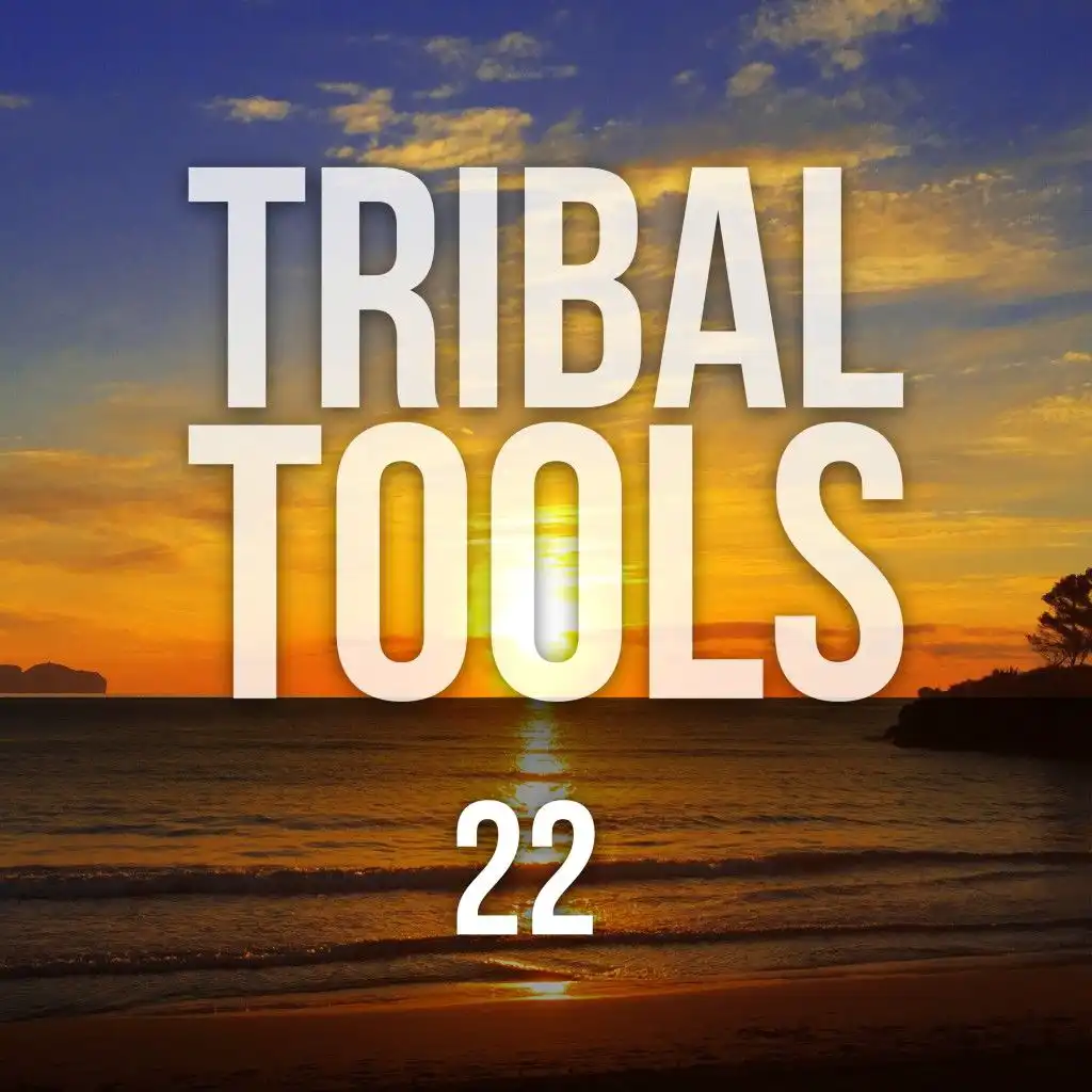 Caos on Technology (Tribal Mix)