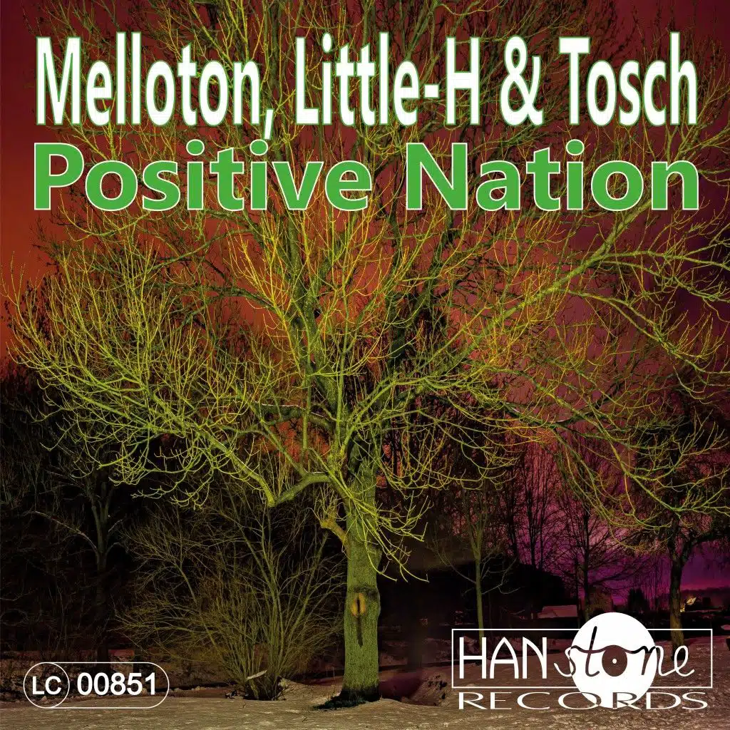Positive Nation (Extended Mix)