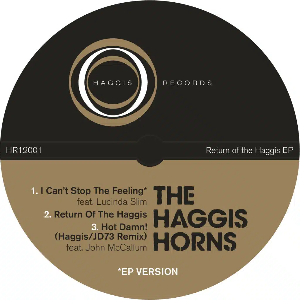Hot Damn! (Haggis/JD73 Remix) [feat. John McCallum]