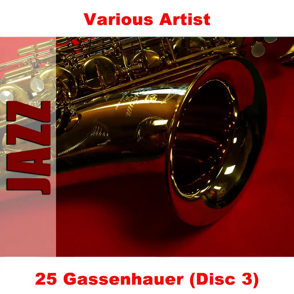 25 Gassenhauer (Disc 3)