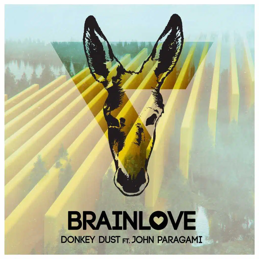 Brainlove (feat. John Paragami)
