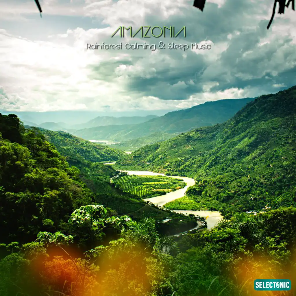 Amazonia Rainforest Calming & Sleep Music