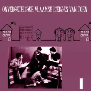 Onvergetelijke Vlaamse Liedjes van Toen, Volume 1