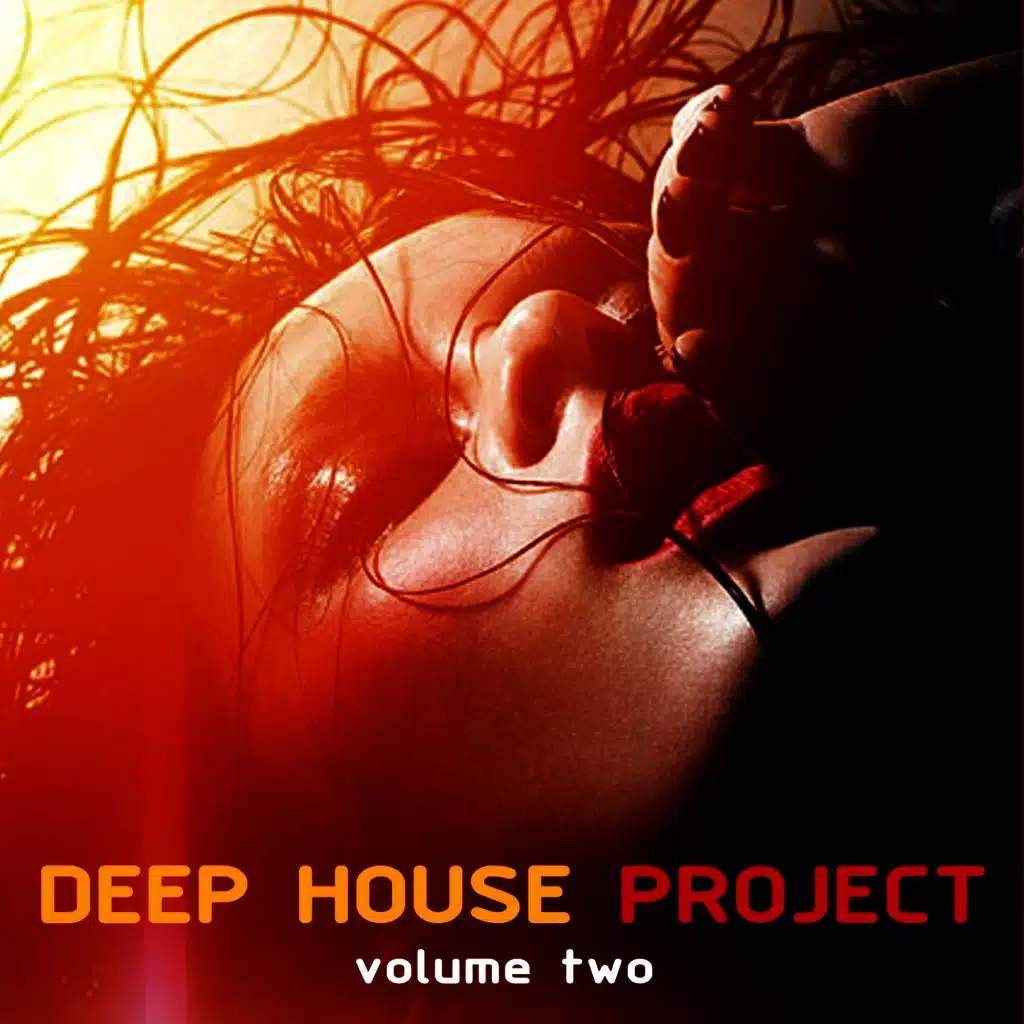 Deep House Project, Vol. 2