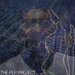 The PLP Project - Volume 1 (feat. DRU, FM Duke, Mike Willis, Jerry Lee, Johan Banks, Lady Bliss & Burning 50)