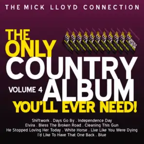 The Only Country Album You Will Ever Need!, Volume 4