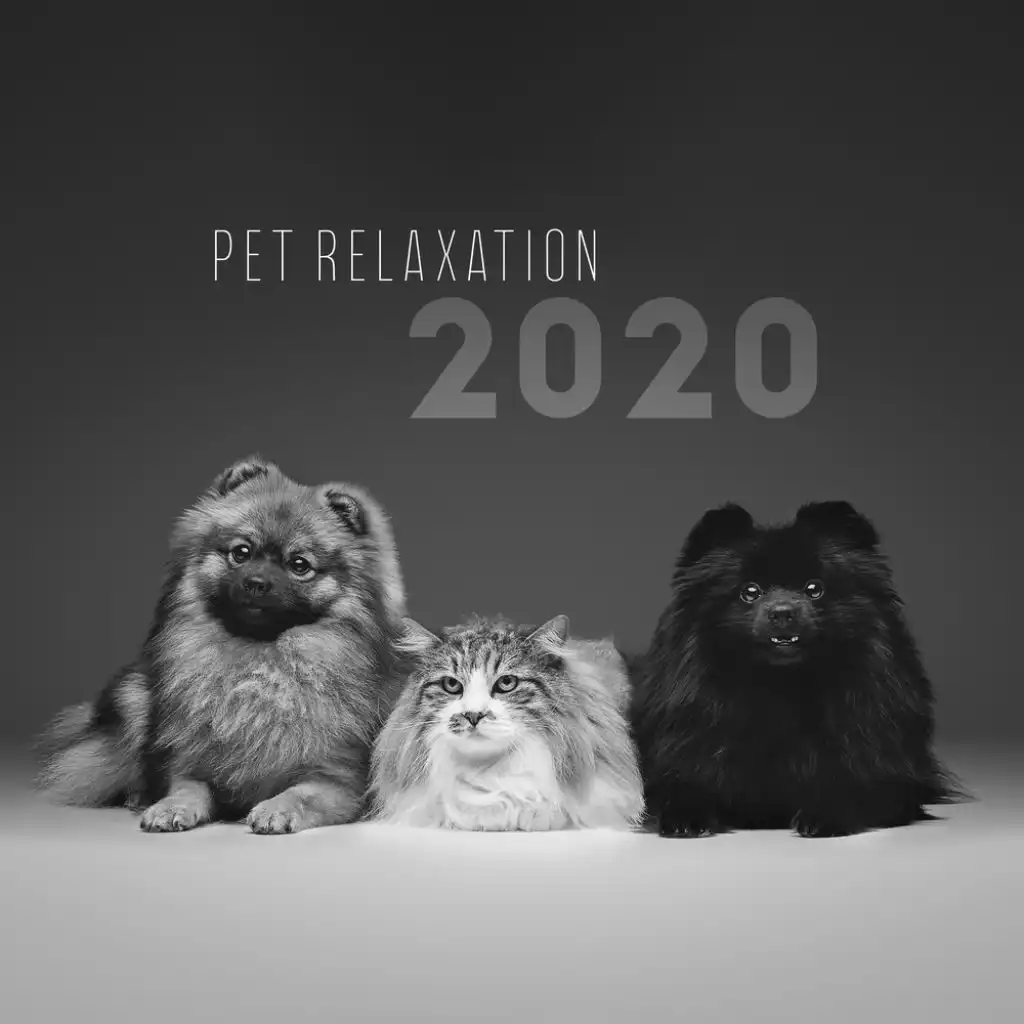 Music for Pets and Animals