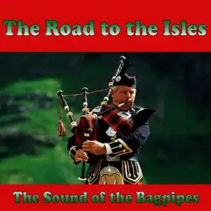 Leaving Port Askaig / Stirling Castle / Donald's Wedding / Loch Boisdale / Pipe Major Joe Wilson / The Wexford Hornpipe / Dystart and Dundonald