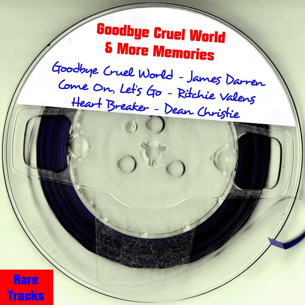 Goodbye Cruel World & More Memories