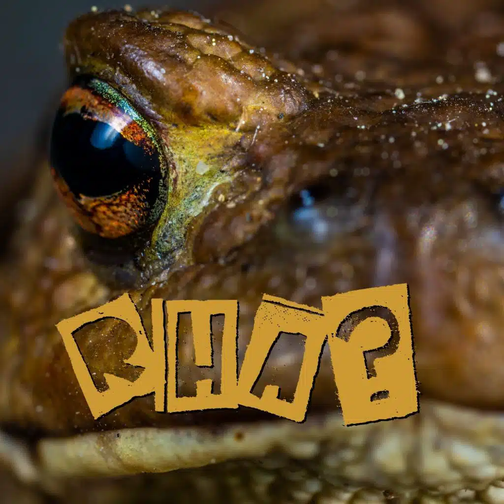 Rha? (feat. Ulisse Giavazzi & Filos)