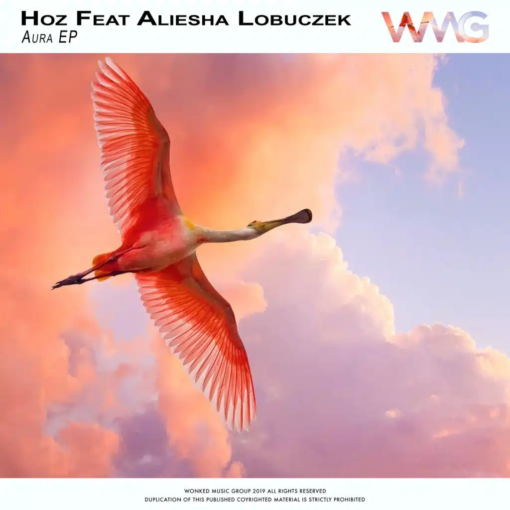 Aura (Radio Mix) [feat. Aliesha Lobuczek]