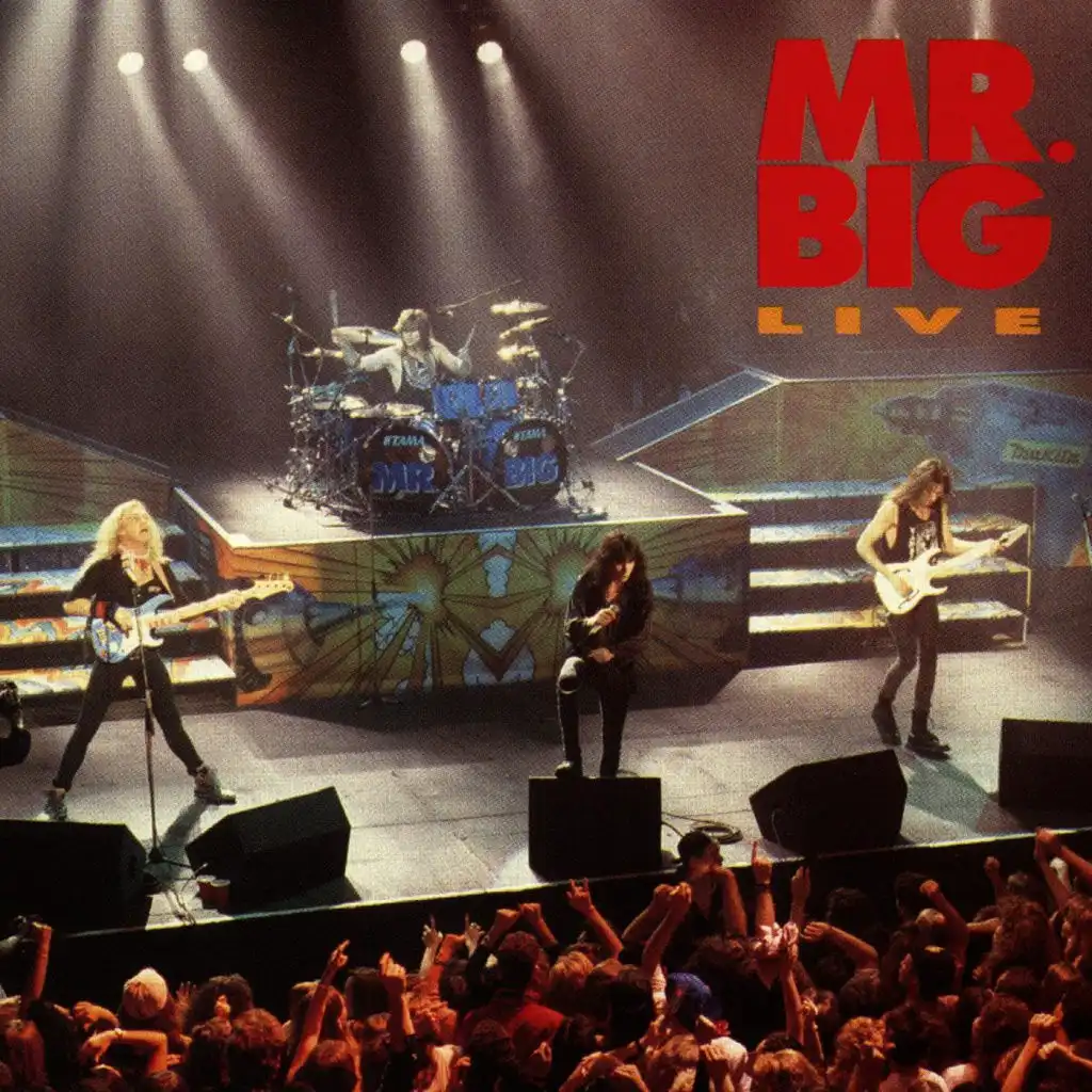 Mr. Big Live