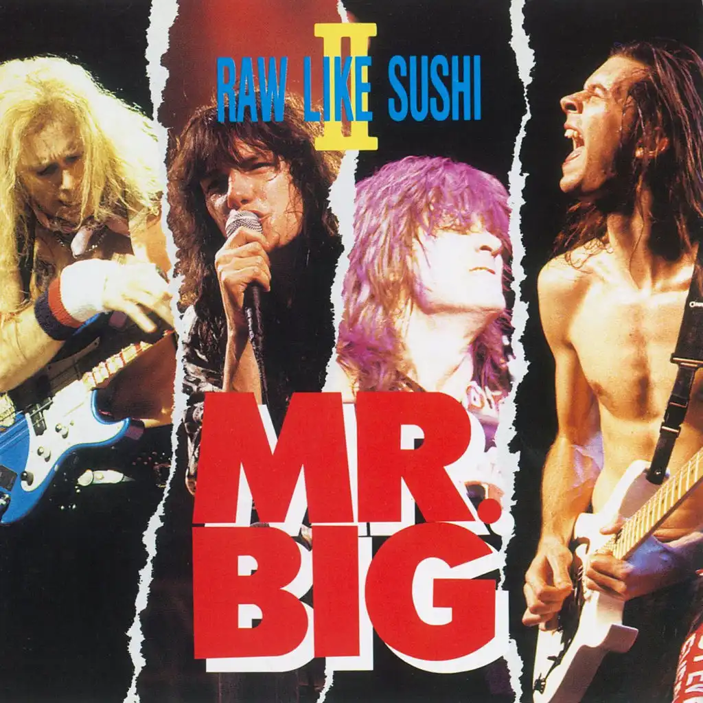 Shy Boy (Live at NHK Hall, Tokyo, Japan, September 26, 1991)