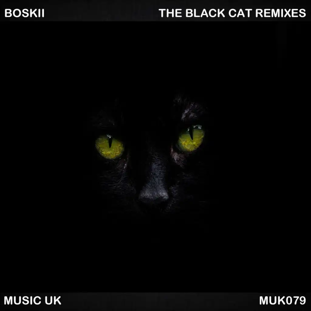 The Black Cat (TomTech 'TomCat' Remix)