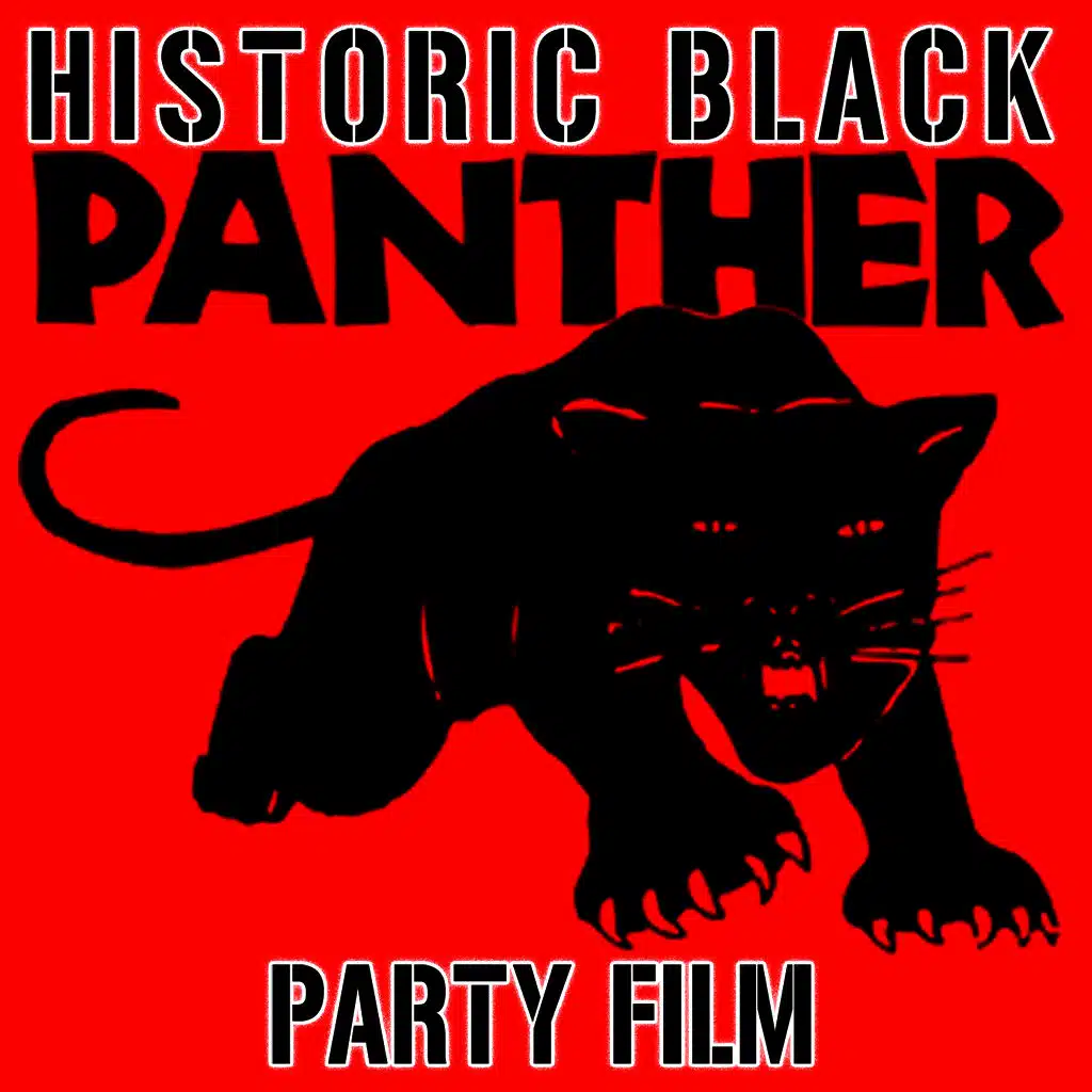 The Black Panthers