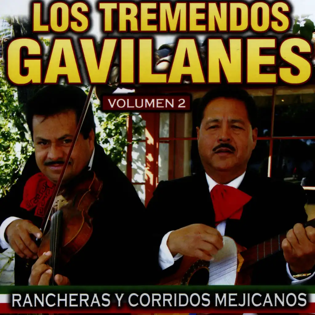 Rancheras y Corridos Mejicanos 2