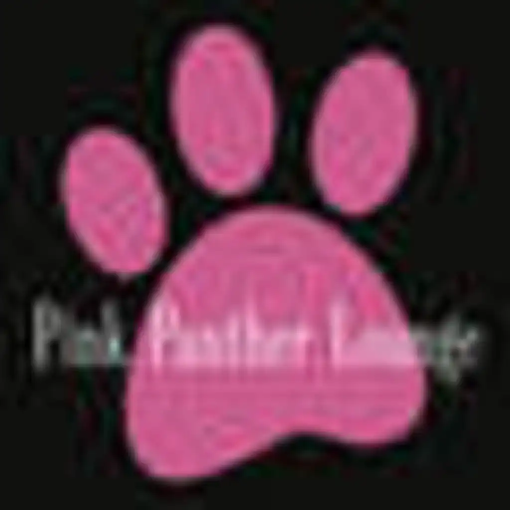 Pink Panther Theme (Remix Version)