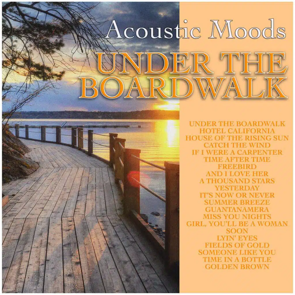 Acoustic Moods